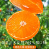 【皮薄无籽】四川爱媛38号果冻橙 商品缩略图1