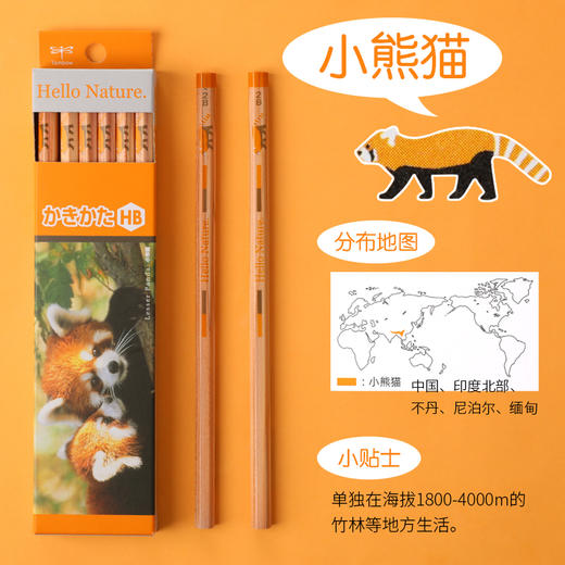 Tombow蜻蜓木头铅笔Hello Nature小学生考试绘图HB素描矫正握姿写练字2B 一年级儿童原木铅笔 商品图2