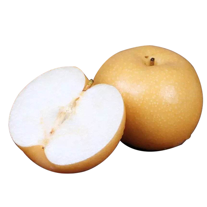 秋月梨 礼盒5-6枚4.5-5斤礼盒/7斤礼盒6枚-9枚左右/4.5斤（5-8个）普箱