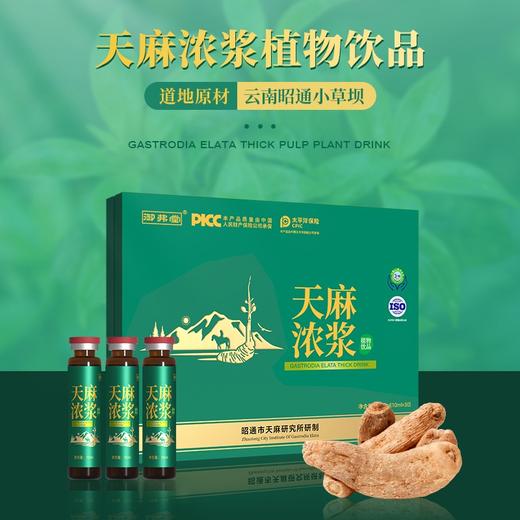 天麻浓浆 10ml/支*30支/盒 商品图1