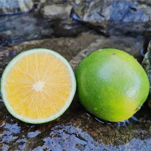 柠檬君生态柳丁（绿皮冰糖橙） 商品图4