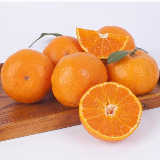 涌泉蜜橘 商品图1