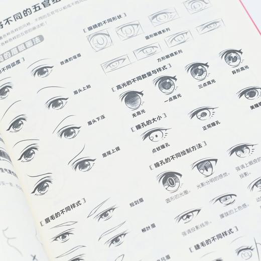 漫画新手入门 一本就够了 商品图2