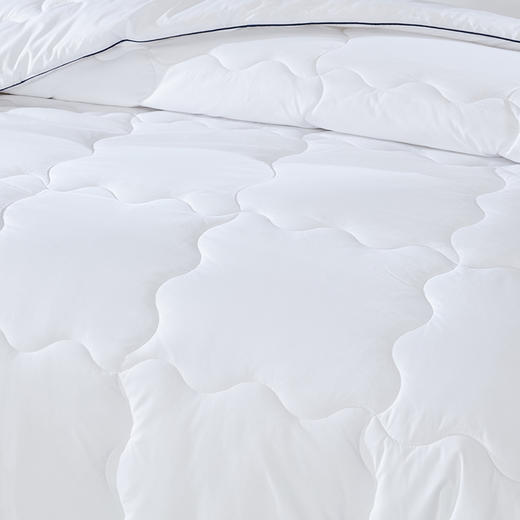 梦洁 素馨羽丝绒四季被 1500g 商品图3