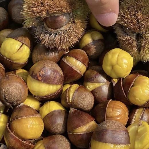 山阳县 新鲜营养 秦岭深山野生板栗 3斤装 商品图3