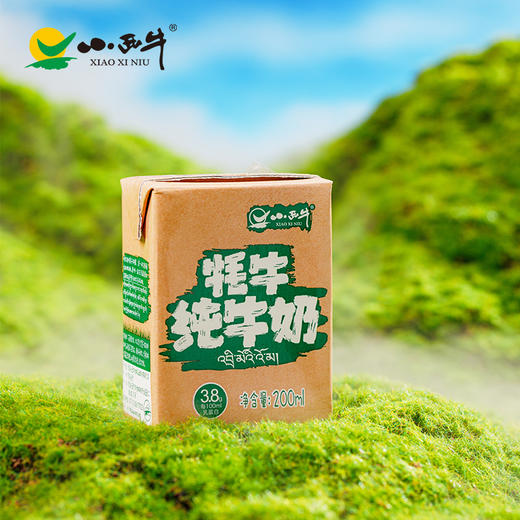 【光明&小西牛】牦牛高钙纯牛奶儿童学生孕妇营养早餐奶200ml*12盒整箱 商品图7