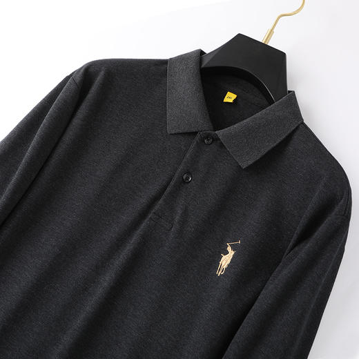 【新款DG】大依优型大码长袖Polo衫翻领加肥加大肥佬休闲宽松透气上衣胖子绅士打底T恤 商品图2