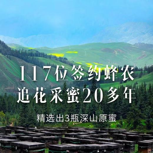 117位签约蜂农追花采蜜20年，精选出3瓶深山高活性成熟原蜜，洋槐蜜+枸杞蜜+神农架蜜共900克 商品图0