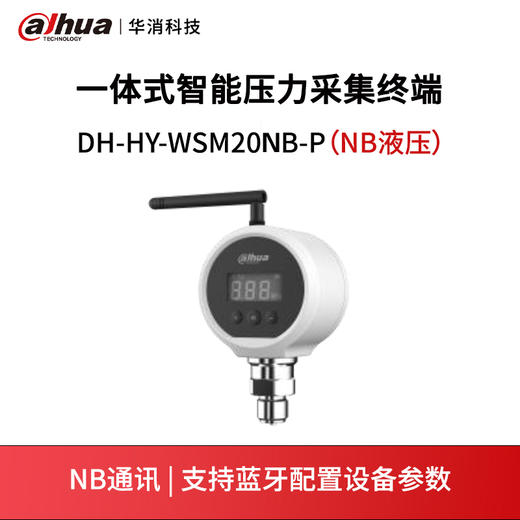 一体式智能压力采集终端DH-HY-WSM20NB-P（NB液压） 商品图0