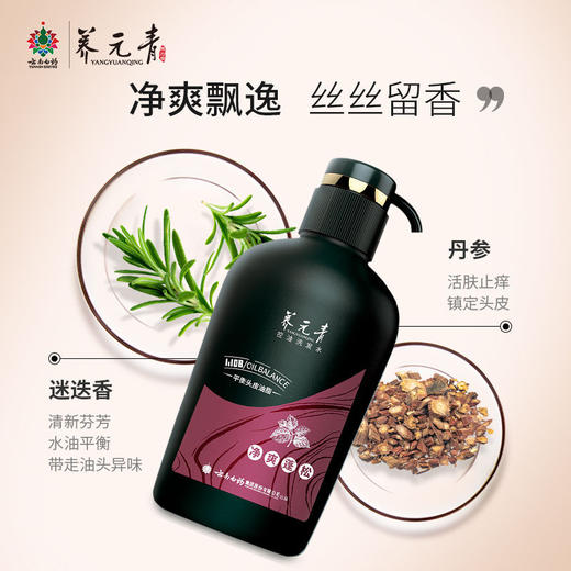 养元青普洱控油洗发水500ml  22113498 商品图3