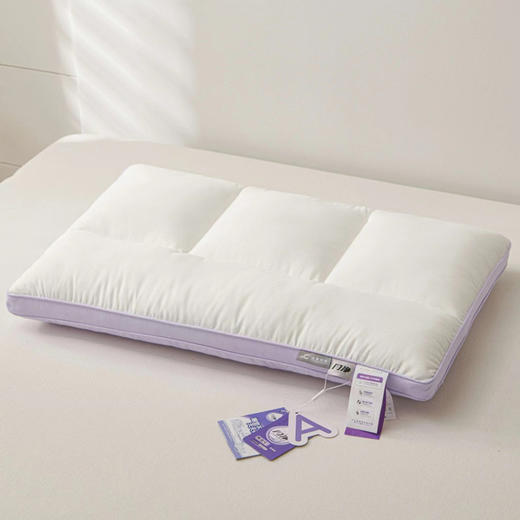 利路米闪净立体枕69元一只 商品图1