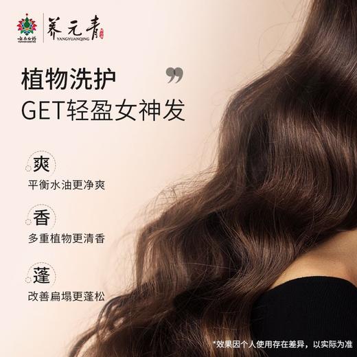 养元青普洱控油洗发水500ml  22113498 商品图5