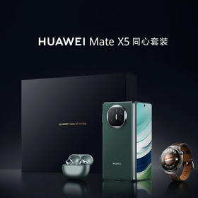 HUAWEI Mate X5 同心套装