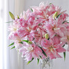 精品百合莲花1号莲花雅致多头重瓣 商品缩略图1