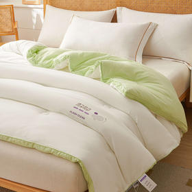 利路米闪净立体春秋被冬被单人双人可选