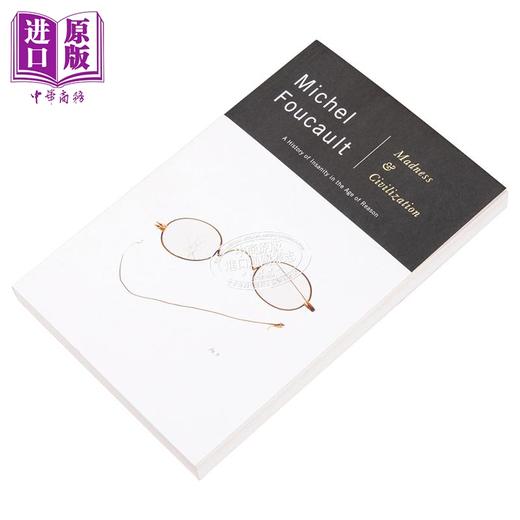 【中商原版】福柯 疯癫与文明 英文原版 Madness and Civilization A History of Insanity in the Age of Reason Michel Fo 商品图12