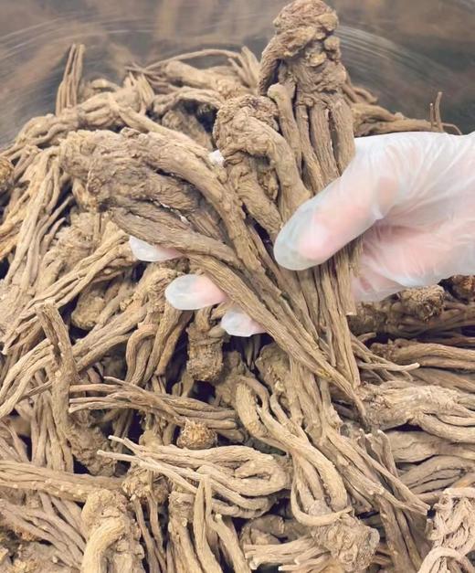 【当归黑豆】精选食材 传统工艺 水煮熬制 没有添加  甄选冰糖 味道清甜  180g/罐 商品图2