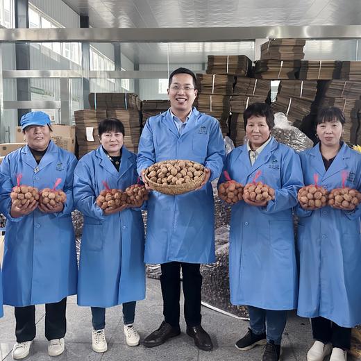 山阳县 2025新鲜 秦岭老树核桃 商品图0