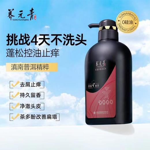 养元青普洱控油洗发水500ml  22113498 商品图1