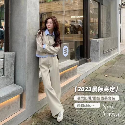 金蘑菇菇黑标时尚 温柔陷阱/醋酸气质休闲西装套装 通勤chicol 商品图0