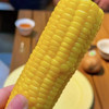 【超值傻小胖/早安系列有机玉米】常温存放。来自内蒙古/黑龙江大草原的甜糯玉米，昼夜温差造就了口感纯净天空下，孕育出的玉米中的香，甜，糯。每一粒都能代表它的品质 商品缩略图6