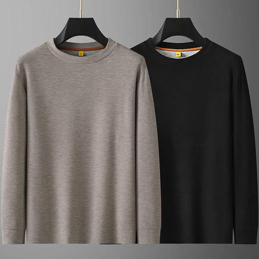 【一口价】兔绒【新款DG】大依优型大码长袖T恤加肥加大肥佬休闲宽松上衣胖子绅士保暖打底T恤 商品图3