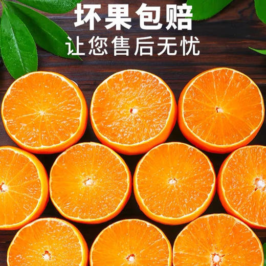【皮薄无籽】四川爱媛38号果冻橙 商品图4