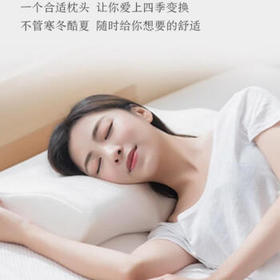 京东京造 记忆枕头枕芯 蝶形枕 航空记忆棉记忆枕慢回弹睡觉专用枕头 /床上用品 /枕头 /记忆枕