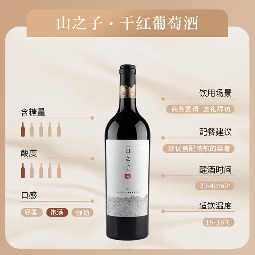 山之子 · 干红葡萄酒 商品图2