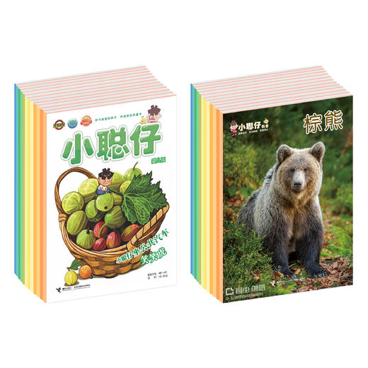 （LY）小聪仔2025年科普版+启蒙版+幼儿版 商品图5