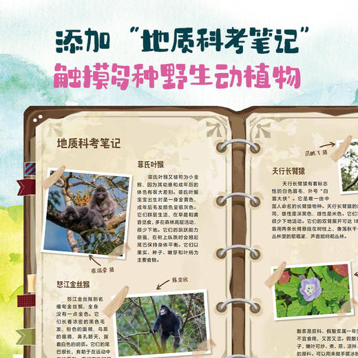 刘兴诗爷爷的中国地理探险小说（全3册） 商品图5