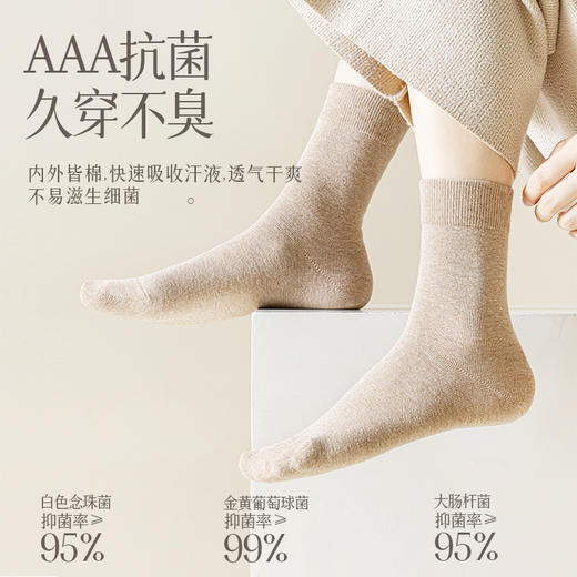 【高弹耐磨久穿不臭❗️纯棉袜子女】秋冬新款纯棉中筒袜春秋款祛jun防臭女士四季袜纯色运动长袜 商品图1