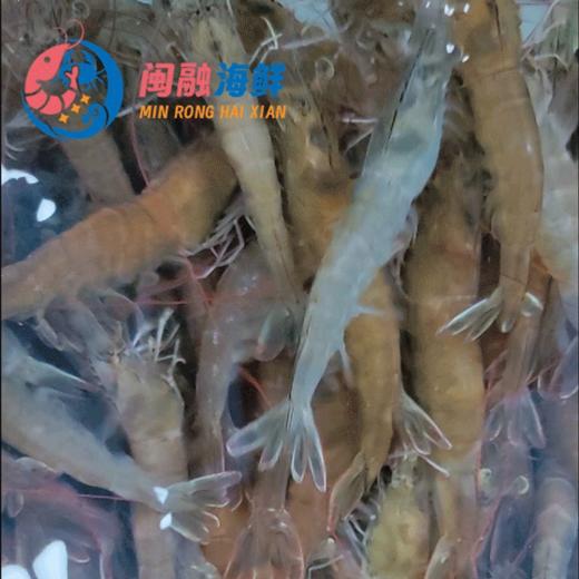 鲜活基围虾 /斤 商品图0