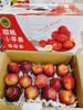 龙丰果一箱 商品缩略图1