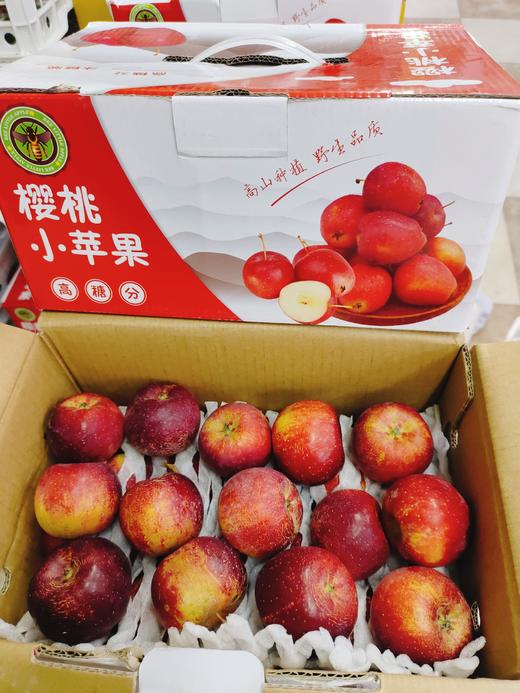 龙丰果一箱 商品图1