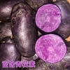 【紫美人土豆&花心土豆】富含花青素、肉质绵密细腻、浓郁的土豆香、堪称马铃薯贵族。 商品缩略图2