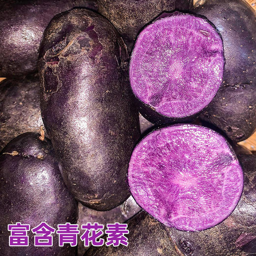 【紫美人土豆&花心土豆】富含花青素、肉质绵密细腻、浓郁的土豆香、堪称马铃薯贵族。 商品图2