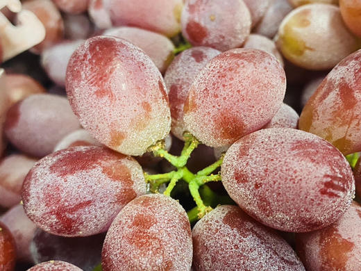 新品#澳洲棒棒糖无籽红提，真的糖果般香甜，卜卜脆，要的就是这一磕下去的爆汁鲜甜。无籽，妈妈省心，宝宝爱吃。 商品图5