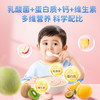 【赠品单拍不发】蓝蓝辅食_婴幼儿酸奶果泥/雪梨猕猴桃味/100g*2 商品缩略图2