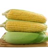 【两份十堰主城区包邮】郧阳区太阳花甜玉米5根/份 商品缩略图0