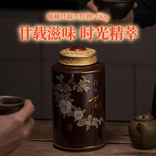 武夷星 蕴藏廿载 大红袍 礼盒装200g 商品图2