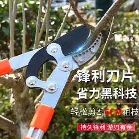 【ZK】长柄压力剪  1把