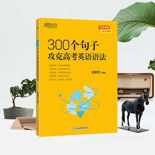 【新东方】300个句子攻克高考英语语法 商品图2