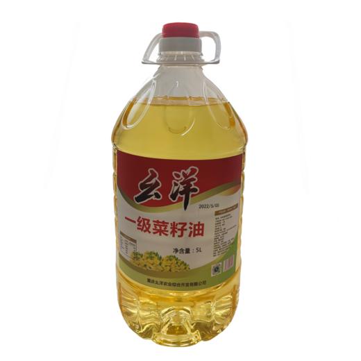 【黔江帮扶产品】高山菜籽油（一级）5L/桶 商品图0