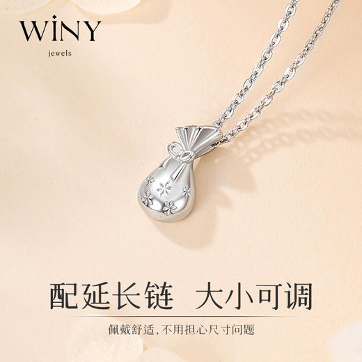 Winy925纯银幸运钱袋项链送女友闺蜜节日生日礼物 商品图5