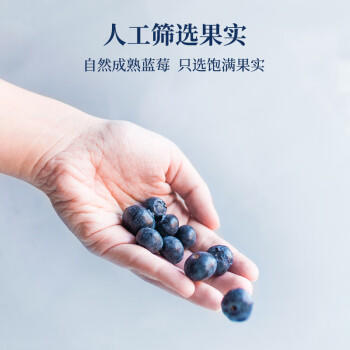 美茵塔尔德国进口无添加蓝莓酱340g早餐冰淇淋面包搭档 商品图5