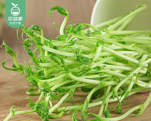 【叼鲜蔬】厦门新鲜豌豆苗/1份（约200g） 商品图2