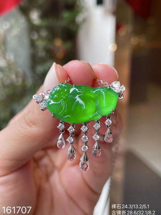 老坑玻璃种金鱼锁骨链【161707】具体价格 微信咨询 商品图3