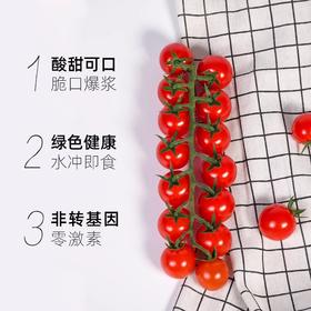 新鲜水果 串收樱桃番茄198g/盒