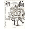 智慧宫024：祖荫下：传统中国的亲属关系、人格和社会流动 商品缩略图1